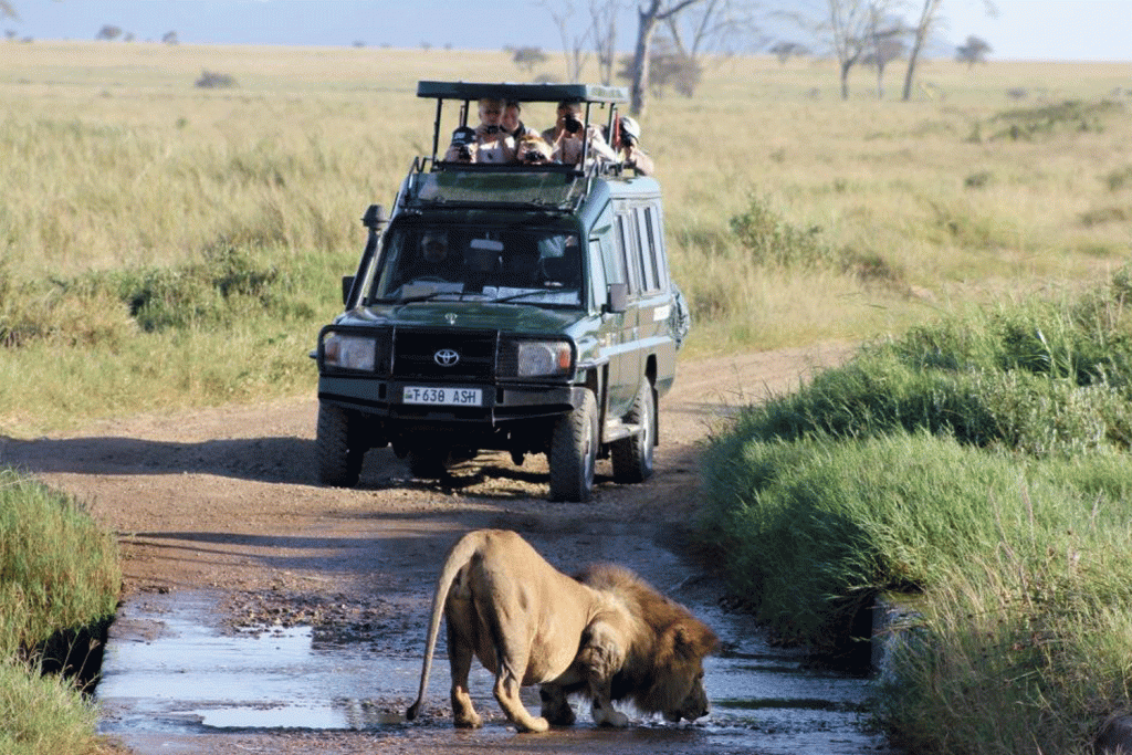 game-drive-rwanda