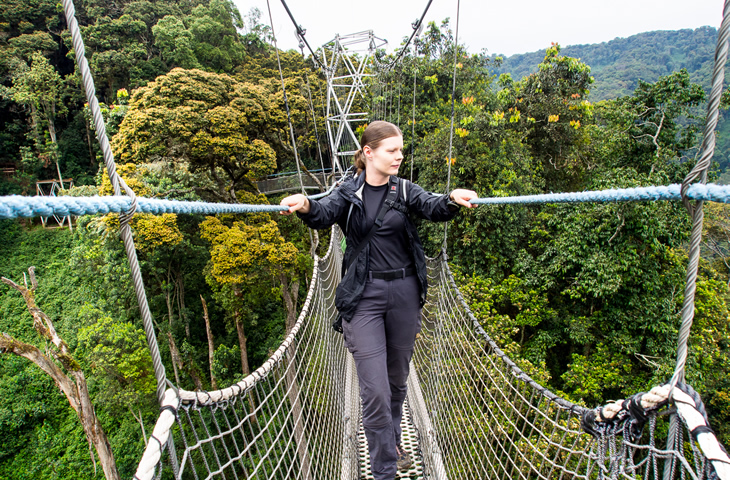 Chmp tracking & canopy walk