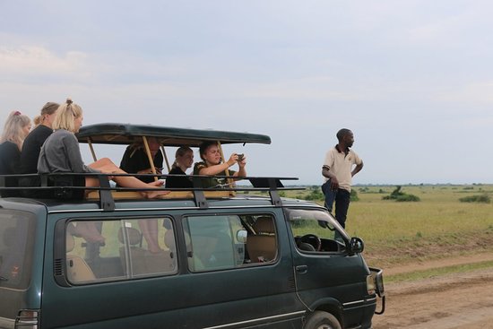 safari-van-hire