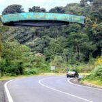 Top 4 Things To Do When You Self Drive To Nyungwe Forest