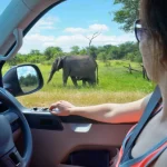 Self Drive in Rwanda: The Ultimate Travel Adventure Guide