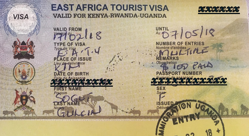 cross-border east african safaris